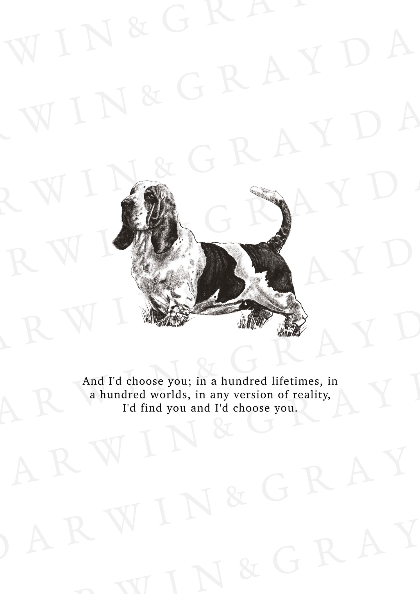 Basset Hound A5 Print