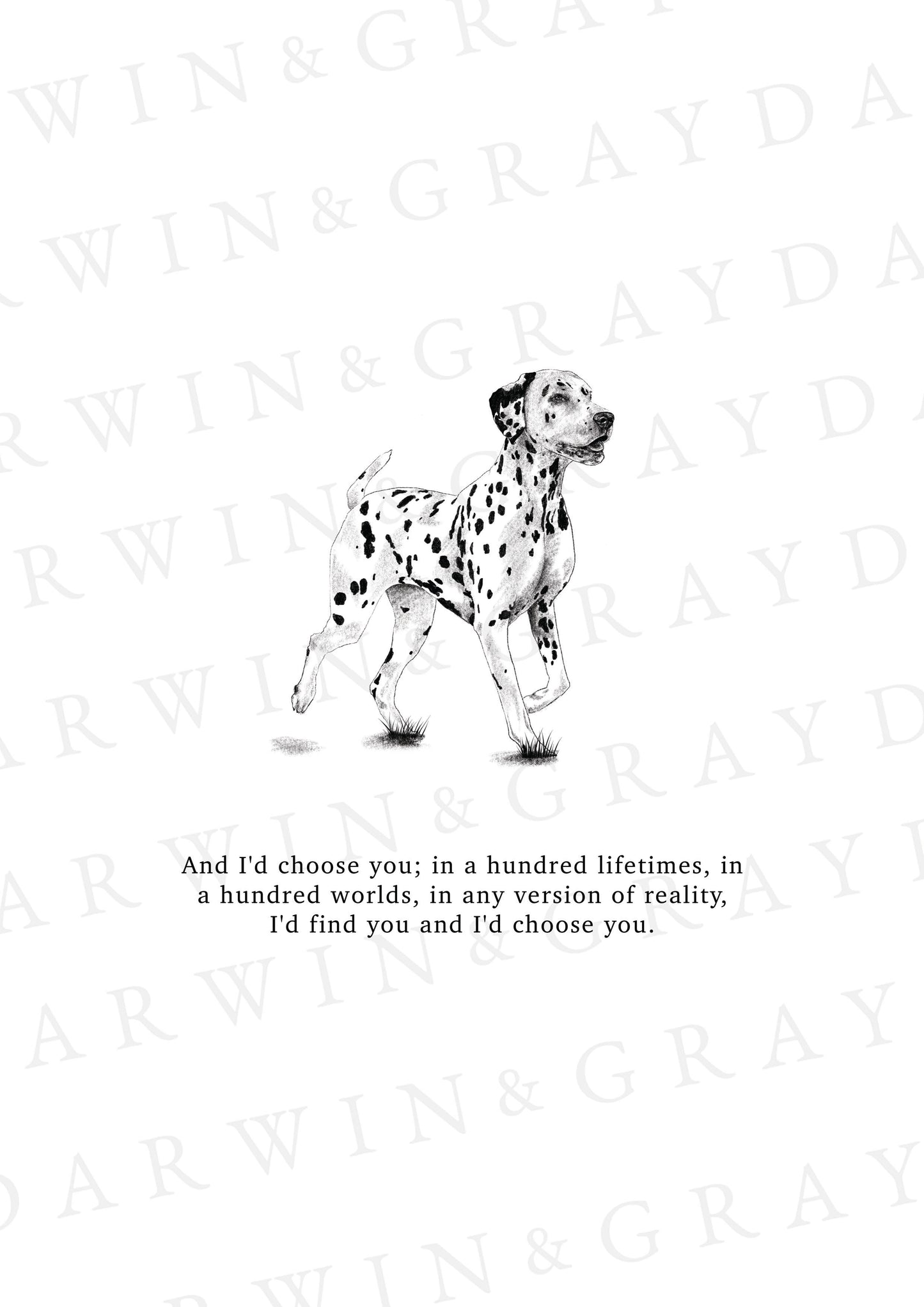 Dalmatian A5 Print