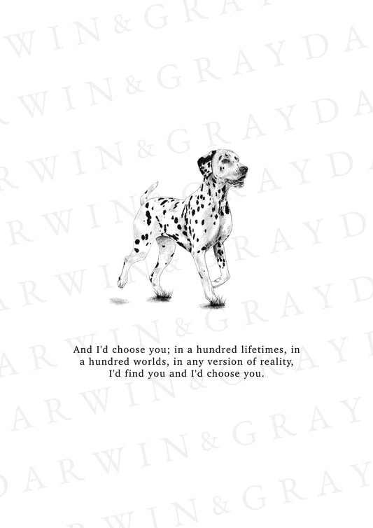 Dalmatian A5 Print